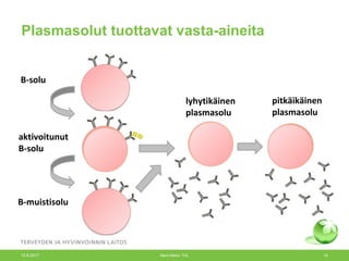 Plasmasolut tuottavat vasta-aineita
B-muistisolu
B-solu
lyhytikäinen
plasmasolu
pitkäikäinen
plasmasolu
aktivoitunut
B-solu
12.6.2017 Merit Melin/ THL 19
 