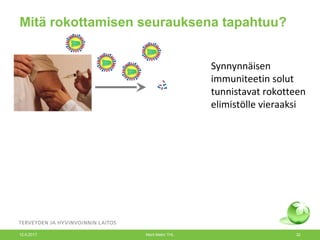 Mitä rokottamisen seurauksena tapahtuu?
Synnynnäisen
immuniteetin solut
tunnistavat rokotteen
elimistölle vieraaksi
12.6.2017 Merit Melin/ THL 32
 