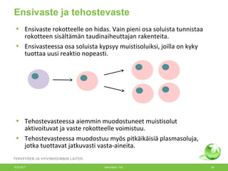 Ensivaste ja tehostevaste
• Ensivaste rokotteelle on hidas. Vain pieni osa soluista tunnistaa
rokotteen sisältämän taudinaiheuttajan rakenteita.
• Ensivasteessa osa soluista kypsyy muistisoluiksi, joilla on kyky
tuottaa uusi reaktio nopeasti.
• Tehostevasteessa aiemmin muodostuneet muistisolut
aktivoituvat ja vaste rokotteelle voimistuu.
• Tehostevasteessa muodostuu myös pitkäikäisiä plasmasoluja,
jotka tuottavat jatkuvasti vasta-aineita.
12.6.2017 Merit Melin/ THL 38
 