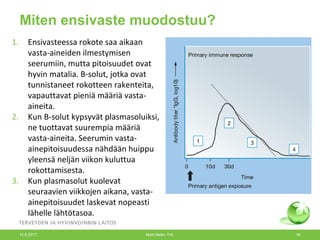 Miten ensivaste muodostuu?
1. Ensivasteessa rokote saa aikaan
vasta-aineiden ilmestymisen
seerumiin, mutta pitoisuudet ovat
hyvin matalia. B-solut, jotka ovat
tunnistaneet rokotteen rakenteita,
vapauttavat pieniä määriä vasta-
aineita.
2. Kun B-solut kypsyvät plasmasoluiksi,
ne tuottavat suurempia määriä
vasta-aineita. Seerumin vasta-
ainepitoisuudessa nähdään huippu
yleensä neljän viikon kuluttua
rokottamisesta.
3. Kun plasmasolut kuolevat
seuraavien viikkojen aikana, vasta-
ainepitoisuudet laskevat nopeasti
lähelle lähtötasoa.
12.6.2017 Merit Melin/ THL 39
 