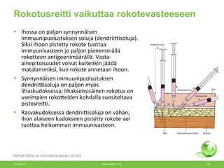 Rokotusreitti vaikuttaa rokotevasteeseen
• Ihossa on paljon synnynnäisen
immuunipuolustuksen soluja (dendriittisoluja).
Siksi ihoon pistetty rokote tuottaa
immuunivasteen jo paljon pienemmällä
rokotteen antigeenimäärällä. Vasta-
ainepitoisuudet voivat kuitenkin jäädä
matalammiksi, kun rokote annetaan ihoon.
• Synnynnäisen immuunipuolustuksen
dendriittisoluja on paljon myös
lihaskudoksessa; lihaksensisäinen rokotus on
useimpien rokotteiden kohdalla suositeltava
pistosreitti.
• Rasvakudoksessa dendriittisoluja on vähän;
ihon alaiseen kudokseen pistetty rokote voi
tuottaa heikomman immuunivasteen.
12.6.2017 Merit Melin/ THL 47
 