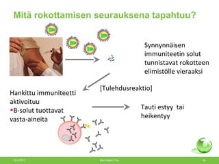 Mitä rokottamisen seurauksena tapahtuu?
Synnynnäisen
immuniteetin solut
tunnistavat rokotteen
elimistölle vieraaksi
[Tulehdusreaktio]
Hankittu immuniteetti
aktivoituu
•B-solut tuottavat
vasta-aineita
Tauti estyy tai
heikentyy
12.6.2017 Merit Melin/ THL 34
 