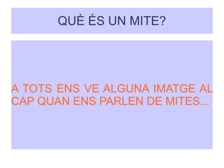Mites | ODP