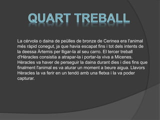 La cérvola o daina de peülles de bronze de Cerinea era l'animal
més ràpid conegut, ja que havia escapat fins i tot dels intents de
la deessa Àrtemis per lligar-la al seu carro. El tercer treball
d'Hèracles consistia a atrapar-la i portar-la viva a Micenes.
Hèracles va haver de perseguir la daina durant dies i dies fins que
finalment l'animal es va aturar un moment a beure aigua. Llavors
Hèracles la va ferir en un tendó amb una fletxa i la va poder
capturar.

 