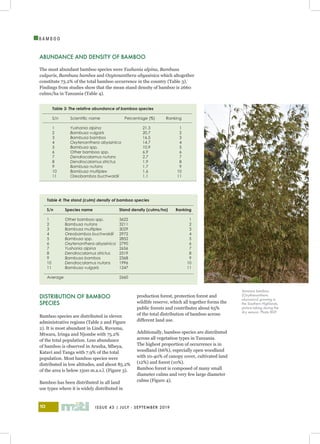 ISSUE 43 | JULY - SEPTEMBER 201910
I
B A M B O O
ABUNDANCE AND DENSITY OF BAMBOO
The most abundant bamboo species were Yushania alpina, Bambusa
vulgaris, Bambusa bambos and Oxytenanthera abyssinica which altogether
constitute 73.2% of the total bamboo occurrence in the country (Table 3).
Findings from studies show that the mean stand density of bamboo is 2660
culms/ha in Tanzania (Table 4).
Table 3: The relative abundance of bamboo species
S/n	 Scientific name	 	 Percentage (%)	 Ranking
1	 Yushania alpina			21.3	 1
2	 Bambusa vulgaris			20.7	 2
3	 Bambusa bambos			16.5	 3
4	 Oxytenanthera abyssinica		 14.7	 4
5	 Bambusa spp.			10.9	 5
6	 Other bamboo spp.		 6.9	 6
7	 Dendrocalamus nutans		 2.7	 7
8	 Dendrocalamus strictus		 1.9	 8
9	 Bambusa nutans			1.7	 9
10	 Bambusa multiplex		1.6	 10
11	 Oreobambos buchwaldii		 1.1	 11
DISTRIBUTION OF BAMBOO
SPECIES
Bamboo species are distributed in eleven
administrative regions (Table 2 and Figure
2). It is most abundant in Lindi, Ruvuma,
Mtwara, Iringa and Njombe with 75.2%
of the total population. Less abundance
of bamboo is observed in Arusha, Mbeya,
Katavi and Tanga with 7.9% of the total
population. Most bamboo species were
distributed in low altitudes, and about 85.2%
of the area is below 1500 m.a.s.l. (Figure 3).
Bamboo has been distributed in all land
use types where it is widely distributed in
production forest, protection forest and
wildlife reserve, which all together forms the
public forests and contributes about 65%
of the total distribution of bamboo across
different land use.
Additionally, bamboo species are distributed
across all vegetation types in Tanzania.
The highest proportion of occurrence is in
woodland (66%), especially open woodland
with 10-40% of canopy cover, cultivated land
(12%) and forest (10%).
Bamboo forest is composed of many small
diameter culms and very few large diameter
culms (Figure 4).
Table 4: The stand (culm) density of bamboo species
S/n	 Species name		 Stand density (culms/ha)	 Ranking
1	 Other bamboo spp.	 3622			 1
2	 Bambusa nutans		 3211	 2
3	 Bambusa multiplex	3029	 3
4	 Oreobambos buchwaldii	2972	 4
5	 Bambusa spp.		 2852	 5
6	 Oxytenanthera abyssinica	2790	 6
7	 Yushania alpina		 2656	 7
8	 Dendrocalamus strictus	2519	 8
9	 Bambusa bambos		2368	 9
10	 Dendrocalamus nutans	1996	 10
11	 Bambusa vulgaris		 1247	 11
Average				2660	
Savanna bamboo
(Oxythenanthera
abyssinica) growing in
the Southern Highlands,
picture taking during the
dry season. Photo BGF
 