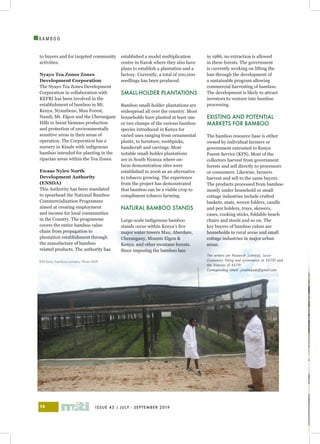 ISSUE 43 | JULY - SEPTEMBER 201914
I
B A M B O O
to buyers and for targeted community
activities.
Nyayo Tea Zones Zones
Development Corporation
The Nyayo Tea Zones Development
Corporation in collaboration with
KEFRI has been involved in the
establishment of bamboo in Mt.
Kenya, Nyambene, Mau Forest,
Nandi, Mt. Elgon and the Cherangany
Hills to boost biomass production
and protection of environmentally
sensitive areas in their areas of
operation. The Corporation has a
nursery in Kinale with indigenous
bamboo intended for planting in the
riparian areas within the Tea Zones.
Ewaso Nyiro North
Development Authority
(ENSDA)
This Authority has been mandated
to spearhead the National Bamboo
Commercialization Programme
aimed at creating employment
and income for local communities
in the Country. The programme
covers the entire bamboo value
chain from propagation to
plantation establishment through
the manufacture of bamboo
related products. The authority has
established a model multiplication
centre in Narok where they also have
plans to establish a plantation and a
factory. Currently, a total of 100,000
seedlings has been produced.
SMALL-HOLDER PLANTATIONS
Bamboo small-holder plantations are
widespread all over the country. Most
households have planted at least one
or two clumps of the various bamboo
species introduced in Kenya for
varied uses ranging from ornamental
plants, to furniture, toothpicks,
handicraft and carvings. Most
notable small-holder plantations
are in South Nyanza where on-
farm demonstration sites were
established in 2006 as an alternative
to tobacco growing. The experience
from the project has demonstrated
that bamboo can be a viable crop to
compliment tobacco farming.
NATURAL BAMBOO STANDS
Large-scale indigenous bamboo
stands occur within Kenya’s five
major water towers Mau, Aberdare,
Cherangany, Mounts Elgon &
Kenya, and other montane forests.
Since imposing the bamboo ban
in 1986, no extraction is allowed
in these forests. The government
is currently working on lifting the
ban through the development of
a sustainable program allowing
commercial harvesting of bamboo.
The development is likely to attract
investors to venture into bamboo
processing.
EXISTING AND POTENTIAL
MARKETS FOR BAMBOO
The bamboo resource base is either
owned by individual farmers or
government entrusted to Kenya
Forest Service (KFS). Most of the
collectors harvest from government
forests and sell directly to processors
or consumers. Likewise, farmers
harvest and sell to the same buyers.
The products processed from bamboo
mostly under household or small
cottage industries include crafted
baskets, mats, woven folders, candle
and pen holders, trays, skewers,
cases, cooking sticks, foldable beach
chairs and stools and so on. The
key buyers of bamboo culms are
households in rural areas and small
cottage industries in major urban
areas.
The writers are Research Scientist, Socio-
Economics Policy and Governance at KEFRI and
the Director of KEFRI
Corresponding email: jonahkipsat@gmail.com
Kitil farm, bamboo nursery. Photo BGF
 