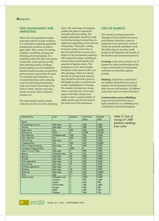 ISSUE 43 | JULY - SEPTEMBER 201920
I
B A M B O O
FIELD MANAGEMENT AND
HARVESTING
When the young plantation begins
to produce shoots in large numbers,
it is advisable to maintain good field
management practices to achieve
high yields. This consist of weeding,
irrigation, mulching, pruning and
thinning and intercropping. It is
wasteful to allow the inter-row spaces
to stay idle, as the spacing is wide,
after planting bamboo seedlings.
Intercropping in newly established
bamboo stands increases productivity
and economic returns from the land.
To maximize land utilization, it is
recommended that early-maturing
crops be intercropped during the
early years before harvesting of the
mature culms. Annual crops may
consist of maize, kales, tomatoes,
potatoes etc.
The main bamboo species under
cultivation in Kenya are the clumping
USES OF BAMBOO
The country is facing progressive
shortage of forest product resources
and bamboo, therefore, comes in
handy given its varied uses, most of
which can perfectly substitute wood.
The following are uses that could
locally be developed for the benefit of
the farmers and commercial growers.
Fencing: is the most common use of
bamboo in Africa and throughout the
tropics, particularly for homesteads
and farms as protection against
grazing.
Staking: people have continued to
use bamboo particularly as props or
supports for horticultural crops like
peas, flowers and bananas. In addition,
many farm tools are made of bamboo.
Construction and scaffolding:
large and strong bamboos have a
high potential use as scaffolding and
construction material throughout
types. The advantage of clumping
enables the plant to regenerate
naturally after harvesting. The
bamboo plantation should be ready
for first harvesting in about three to
eight years depending on the desired
end product. Thereafter, cutting
of mature culms can be done at
the intervals of four or more years.
Failure to harvest bamboo regularly
will congest the clump, resulting in
deterioration of both quality and
quantity of bamboo stems. The
emergence of new shoots begins
during the rainy season of the year
after planting. These new shoots
should not be harvested, instead
they should be allowed to grow to
full height in order to promote the
healthy establishment of clumps.
The number of shoots per clump
varies; some like one or two may
appear and other clumps may
produce more. A small number of
edible shoots may be harvested in
the third year of the plantation.
Table 2: Cost of
raising of 1,000
bamboo seedlings
from culms
 