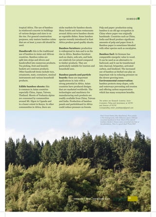 I
ISSUE 43 | JULY - SEPTEMBER 2019 21
B O M B O O
tropical Africa. The use of bamboo
in reinforced concrete in buildings
of various designs and sizes is on
the rise. For general construction
purposes, only mature bamboo culms
that are at least 3 years old should be
used.
Handicraft: this is the traditional
use of bamboo in Asian and African
countries. Bamboo culms are
split into strips and slivers and
handcrafted into numerous products.
Tea picking, fruit and laundry
baskets are common products.
Other handicraft items include toys,
ornaments, mats, containers, musical
instruments and various household
products.
Edible bamboo shoots: this
is common in Asian countries
especially China, Japan, Taiwan,
Thailand. Shoots of Yushania alpina
are consumed by communities
around Mt. Elgon in Uganda and
to a lesser extent in Kenya. In other
communities in Africa, there are
niche markets for bamboo shoots.
Many hotels and Asian restaurants
around Africa serve bamboo shoots
as vegetable dishes. Some bamboo
species recently introduced in East
Africa produce good quality shoots.
Bamboo furniture: production
is widespread in Asia and is on the
rise in Africa. Bamboo furniture
such as chairs, sofa sets, and beds
are relatively low priced compared
to timber products. They are
particularly suitable for tourism and
household uses.
Bamboo panels and particle
boards: these are important
applications in Asia with a
strong potential in Africa. Asian
countries have produced designs
that are marketed worldwide. The
technologies and machinery for
manufacturing such products are
readily available from China, Taiwan
and India. Production of bamboo
panels and particleboard in Africa
could reduce pressure on forests.
Pulp and paper: production using
bamboo is an old age occupation in
China where paper was originally
handmade. Countries such as China,
India and Brazil produce significant
amounts of pulp and paper from it.
Bamboo paper is sometimes blended
with other species such as eucalyptus.
Bamboo fuel: its biomass has
comparable energetic value to wood.
It can be used as an alternative to
fuelwood, and it can be transformed
into charcoal, briquettes, activated
carbon, and biodiesel. The increased
use of bamboo as biofuel can play an
important role in reducing pressure on
the slower growing trees.
Environmental conservation:
bamboo protects steep slopes, soils
and waterways preventing soil erosion
and offering carbon sequestration
which has many ecosystem benefits.
The writers are Research Scientist, Socio-
Economics Policy and Governance at KEFRI
and Director of KEFRI
Corresponding email: jonahkipsat@gmail.com
Kieni Forest Station (the Aberdares), Pinus patula
in the back-ground, with Oldeania alpina (African
mountain bamboo) in front. Most of the natural
bamboo stands in Kenya were converted into tree or
tea plantations. Was it a good idea? Photo BGF
 