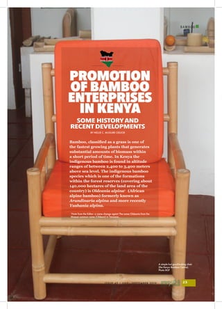 B A M B O O
I
ISSUE 43 | JULY - SEPTEMBER 2019 23
SOME HISTORY AND
RECENT DEVELOPMENTS
BY NELLIE C. MUGURE ODUOR
PROMOTION
OF BAMBOO
ENTERPRISES
IN KENYA
Bamboo, classified as a grass is one of
the fastest growing plants that generates
substantial amounts of biomass within
a short period of time. In Kenya the
indigenous bamboo is found in altitude
ranges of between 2,400 to 3,400 meters
above sea level. The indigenous bamboo
species which is one of the formations
within the forest reserves (covering about
140,000 hectares of the land area of the
country) is Oldeania alpina1
(African
alpine bamboo) formerly known as
Arundinaria alpina and more recently
Yushania alpina.
1
Note from the Editor: a name change again! The name Oldeania from the
Maasai common name (Oldeani) in Tanzania.
A simple but good-looking chair
(the Kenya Bamboo Centre).
Photo BGF
 