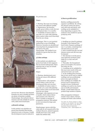 I
ISSUE 43 | JULY - SEPTEMBER 2019 29
B A M B O O
survival rate. Moreover, the detached
branches are easy to handle and there
are plenty of branches available.
Disadvantages: the method is labour-
intensive and only suitable for species
with a thick stout branch base.
4.Branch cuttings
In this method, new plantlets are
grown from branches that develop
natural air roots or rhizomes. Usually
this development must be induced in
the previous year.
Stages:
 Planting: this must occur during
any season with sufficient rainfall.
 Regeneration: the branches
usually sprout within a week, but root
development takes 1 to 2 months.
 Availability of mature culms: it
may take 3 to 4 years after planting
before mature culms can be harvested
from the new clump.
Advantages: This is a very practical
method due to ease of handling.
Moreover, branches are plentiful and
removing them for propagation does
not destroy the culm.
Disadvantage: This method is not
suitable for species that have thin
branches.
5.Culm cuttings
In this method, new plantlets are
grown from buds of culm segments
that are buried underground. These
segments may or may not include
pruned branches.
Stages:
 Planting: planting must occur
during any season with sufficient
rainfall.
 Regeneration: culm segments
sprout within a week, but root
development takes 45 to 90 days.
 Availability of mature culms: it
may take 3 to 4 years after planting
before mature culms can be harvested
from the new clump
Advantages: culm segments are easy
to handle, which reduces labour
and transport costs. Moreover,
there is usually no shortage of
propagation material. This method
is very convenient for large-scale
plantations.
Disadvantages: species with thin
culm walls do not respond well to this
method. Moreover, planted segments
initially don’t have roots, which
makes the method risky.
6.Macro-proliferation
Bamboo seedlings possess the
capacity to proliferate. By cutting
the rhizome system into pieces,
each with roots and shoots, each
seedling can be multiplied 3-7
times depending on species. The
method is only suitable for species
producing seeds.
Stages:
 Seedlings are raised in polybags.
Normally, at the National Tree
Seed Centre, Namanve polybags of
size 7 x 15 inches, containing loam
soil and sand (3:1) are used.
 Soil is washed from the root and
rhizome system and old roots may
be trimmed
 The rhizome is cut into pieces,
each replanted, hardened under
shade for 3-5 days and well
watered.
 Thereafter, the transplanted
pieces are brought to the nursery
bed under the sun.
 A seedling can be multiplied in
this way in any month of the year
and survival rate is 90-100%.
 As the seedling pieces develop,
they in turn can be used as original
seedlings and new proliferating
pieces once again produced.
Once seedlings are available, the
process can be continued for a
number of years. Proliferated
seedlings are small in size, hence
easy to handle and transport.
Finally, a small initial stock can
produce large numbers of plants.
Other propagation techniques
include: tissue culture, rhizome
cuttings and whole culm method.
The writers are: Nursery manager in charge
of bamboo at the National Tree Seed Center
NFA and research officer at the National
Agricultural Research Organisation
Corresponding Email: kaakevin@gmail.com
 