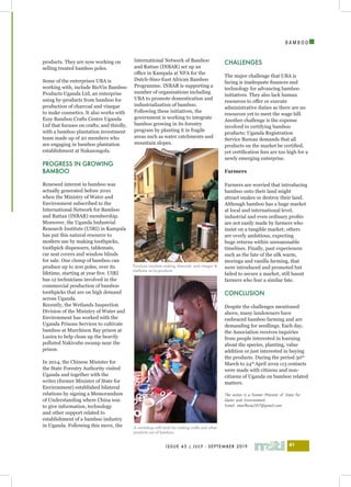 I
ISSUE 43 | JULY - SEPTEMBER 2019 41
B A M B O O
products. They are now working on
selling treated bamboo poles.
Some of the enterprises UBA is
working with, include BioVin Bamboo
Products Uganda Ltd, an enterprise
using by-products from bamboo for
production of charcoal and vinegar
to make cosmetics. It also works with
Ezzy Bamboo Crafts Centre Uganda
Ltd that focuses on crafts; and thirdly,
with a bamboo plantation investment
team made up of 20 members who
are engaging in bamboo plantation
establishment at Nakasongola.
PROGRESS IN GROWING
BAMBOO
Renewed interest in bamboo was
actually generated before 2010
when the Ministry of Water and
Environment subscribed to the
International Network for Bamboo
and Rattan (INBAR) membership.
Moreover, the Uganda Industrial
Research Institute (UIRI) in Kampala
has put this natural resource to
modern use by making toothpicks,
toothpick dispensers, tablemats,
car seat covers and window blinds
for sale. One clump of bamboo can
produce up to 200 poles, over its
lifetime, starting at year five. UIRI
has 12 technicians involved in the
commercial production of bamboo
toothpicks that are on high demand
across Uganda.
Recently, the Wetlands Inspection
Division of the Ministry of Water and
Environment has worked with the
Uganda Prisons Services to cultivate
bamboo at Murchison Bay prison at
Luzira to help clean up the heavily
polluted Nakivubo swamp near the
prison.
In 2014, the Chinese Minister for
the State Forestry Authority visited
Uganda and together with the
writer (former Minister of State for
Environment) established bilateral
relations by signing a Memorandum
of Understanding where China was
to give information, technology
and other support related to
establishment of a bamboo industry
in Uganda. Following this move, the
International Network of Bamboo
and Rattan (INBAR) set up an
office in Kampala at NFA for the
Dutch-Sino-East African Bamboo
Programme. INBAR is supporting a
number of organisations including
UBA to promote domestication and
industrialization of bamboo.
Following these initiatives, the
government is working to integrate
bamboo growing in its forestry
program by planting it in fragile
areas such as water catchments and
mountain slopes.
CHALLENGES
The major challenge that UBA is
facing is inadequate finances and
technology for advancing bamboo
initiatives. They also lack human
resources to offer or execute
administrative duties as there are no
resources yet to meet the wage bill.
Another challenge is the expense
involved in certifying bamboo
products: Uganda Registration
Service Bureau demands that all
products on the market be certified,
yet certification fees are too high for a
newly emerging enterprise.
Farmers
Farmers are worried that introducing
bamboo onto their land might
attract snakes or destroy their land.
Although bamboo has a huge market
at local and international level,
industrial and even ordinary profits
are not easily made by farmers who
insist on a tangible market; others
are overly ambitious, expecting
huge returns within unreasonable
timelines. Finally, past experiences
such as the fate of the silk warm,
moringa and vanilla farming, that
were introduced and promoted but
failed to secure a market, still haunt
farmers who fear a similar fate.
CONCLUSION
Despite the challenges mentioned
above, many landowners have
embraced bamboo farming and are
demanding for seedlings. Each day,
the Association receives inquiries
from people interested in learning
about the species, planting, value
addition or just interested in buying
the products. During the period 30th
March to 24th
April 2019 113 contacts
were made with citizens and non-
citizens of Uganda on bamboo related
matters.
The writer is a former Minister of State for
Water and Environment
Email: munflavia2017@gmail.com
Pyrolysis machine making charcoal, and vinegar &
methane as by-products
A workshop with tools for making crafts and other
products out of bamboo.
 
