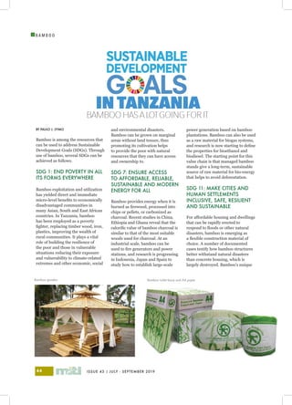 ISSUE 43 | JULY - SEPTEMBER 201944
I
B A M B O O
BY PAULO J. LYIMO
Bamboo is among the resources that
can be used to address Sustainable
Development Goals (SDGs). Through
use of bamboo, several SDGs can be
achieved as follows.
SDG 1: END POVERTY IN ALL
ITS FORMS EVERYWHERE
Bamboo exploitation and utilization
has yielded direct and immediate
micro-level benefits to economically
disadvantaged communities in
many Asian, South and East African
countries. In Tanzania, bamboo
has been employed as a poverty
fighter, replacing timber wood, iron,
plastics, improving the wealth of
rural communities. It plays a vital
role of building the resilience of
the poor and those in vulnerable
situations reducing their exposure
and vulnerability to climate-related
extremes and other economic, social
and environmental disasters.
Bamboo can be grown on marginal
areas without land tenure, thus
promoting its cultivation helps
to provide the poor with natural
resources that they can have access
and ownership to.
SDG 7: ENSURE ACCESS
TO AFFORDABLE, RELIABLE,
SUSTAINABLE AND MODERN
ENERGY FOR ALL
Bamboo provides energy when it is
burned as firewood, processed into
chips or pellets, or carbonized as
charcoal. Recent studies in China,
Ethiopia and Ghana reveal that the
calorific value of bamboo charcoal is
similar to that of the most suitable
woods used for charcoal. At an
industrial scale, bamboo can be
used to fire generators and power
stations, and research is progressing
in Indonesia, Japan and Spain to
study how to establish large-scale
power generation based on bamboo
plantations. Bamboo can also be used
as a raw material for biogas systems,
and research is now starting to define
the properties for bioethanol and
biodiesel. The starting point for this
value chain is that managed bamboo
stands give a long-term, sustainable
source of raw material for bio-energy
that helps to avoid deforestation.
SDG 11: MAKE CITIES AND
HUMAN SETTLEMENTS
INCLUSIVE, SAFE, RESILIENT
AND SUSTAINABLE
For affordable housing and dwellings
that can be rapidly erected to
respond to floods or other natural
disasters, bamboo is emerging as
a flexible construction material of
choice. A number of documented
cases testify how bamboo structures
better withstand natural disasters
than concrete housing, which is
largely destroyed. Bamboo’s unique
BAMBOOHASALOTGOINGFORIT
INTANZANIA
Bamboo gazebo Bamboo toilet tissue and A4 paper
 
