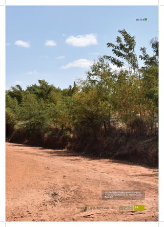 I
ISSUE 43 | JULY - SEPTEMBER 2019 53
W A T E R
Use of the yellow bamboo (Bambusa vulgaris)
for riverbank protection in dry Makueni county.
Photo BGF
 