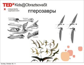 птерозавры




                                      5


Sunday, October 30, 11
 