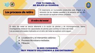 Los procesos de retiro
El tratamiento en humedales construidos está dirigido a la
remoción de los metales pesados y al aumento del pH. En
esta sección se explican ambos procesos.
El retiro del metal
El retiro del metal se asocia altamente a la acción de plantas y de microorganismos. Varios
investigadores destacan las capacidades de plantas para contribuir al retiro del metal.
Los procesos principales implicados en el retiro del metal se explican como siguen
● La adsorción y el intercambio catiónico
● Procesos Microbiano-mediados
● Filtración
 