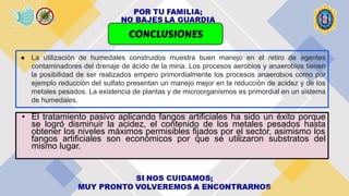 • El tratamiento pasivo aplicando fangos artificiales ha sido un éxito porque
se logró disminuir la acidez, el contenido de los metales pesados hasta
obtener los niveles máximos permisibles fijados por el sector, asimismo los
fangos artificiales son económicos por que se utilizaron substratos del
mismo lugar.
CONCLUSIONES
● La utilización de humedales construidos muestra buen manejo en el retiro de agentes
contaminadores del drenaje de ácido de la mina. Los procesos aerobios y anaerobios tienen
la posibilidad de ser realizados empero primordialmente los procesos anaerobios como por
ejemplo reducción del sulfato presentan un manejo mejor en la reducción de acidez y de los
metales pesados. La existencia de plantas y de microorganismos es primordial en un sistema
de humedales.
 