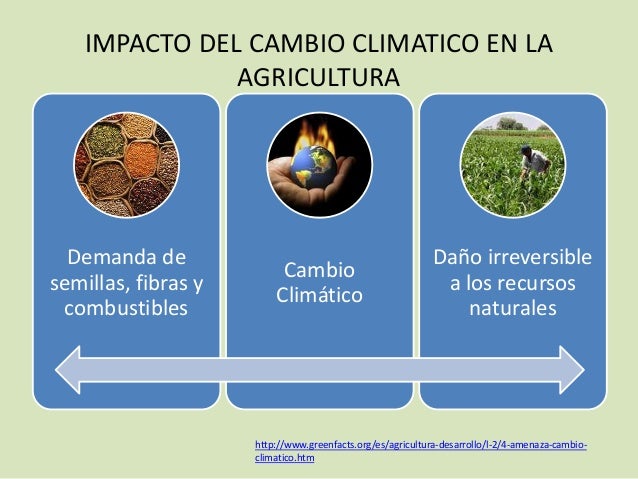 Mitigación cambio climatico en la agricultura de san gil rodriguez di…