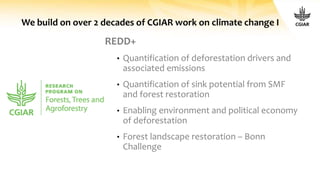 We build on over 2 decades of CGIAR work on climate change I
REDD+
• Quantification of deforestation drivers and
associated emissions
• Quantification of sink potential from SMF
and forest restoration
• Enabling environment and political economy
of deforestation
• Forest landscape restoration – Bonn
Challenge
 