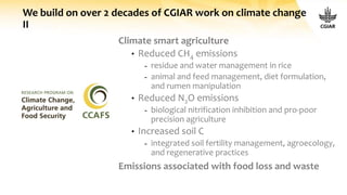Climate smart agriculture
• Reduced CH4 emissions
- residue and water management in rice
- animal and feed management, diet formulation,
and rumen manipulation
• Reduced N2O emissions
- biological nitrification inhibition and pro-poor
precision agriculture
• Increased soil C
- integrated soil fertility management, agroecology,
and regenerative practices
Emissions associated with food loss and waste
We build on over 2 decades of CGIAR work on climate change
II
 