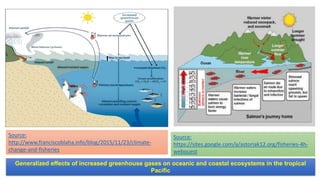 Mitigation and adaptation of climate change in aquaculture | PPTX