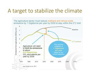 Putting the world back on the 2-degree path: four actions for mitigation