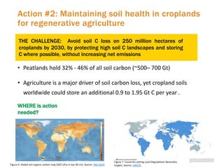 Putting the world back on the 2-degree path: four actions for mitigation