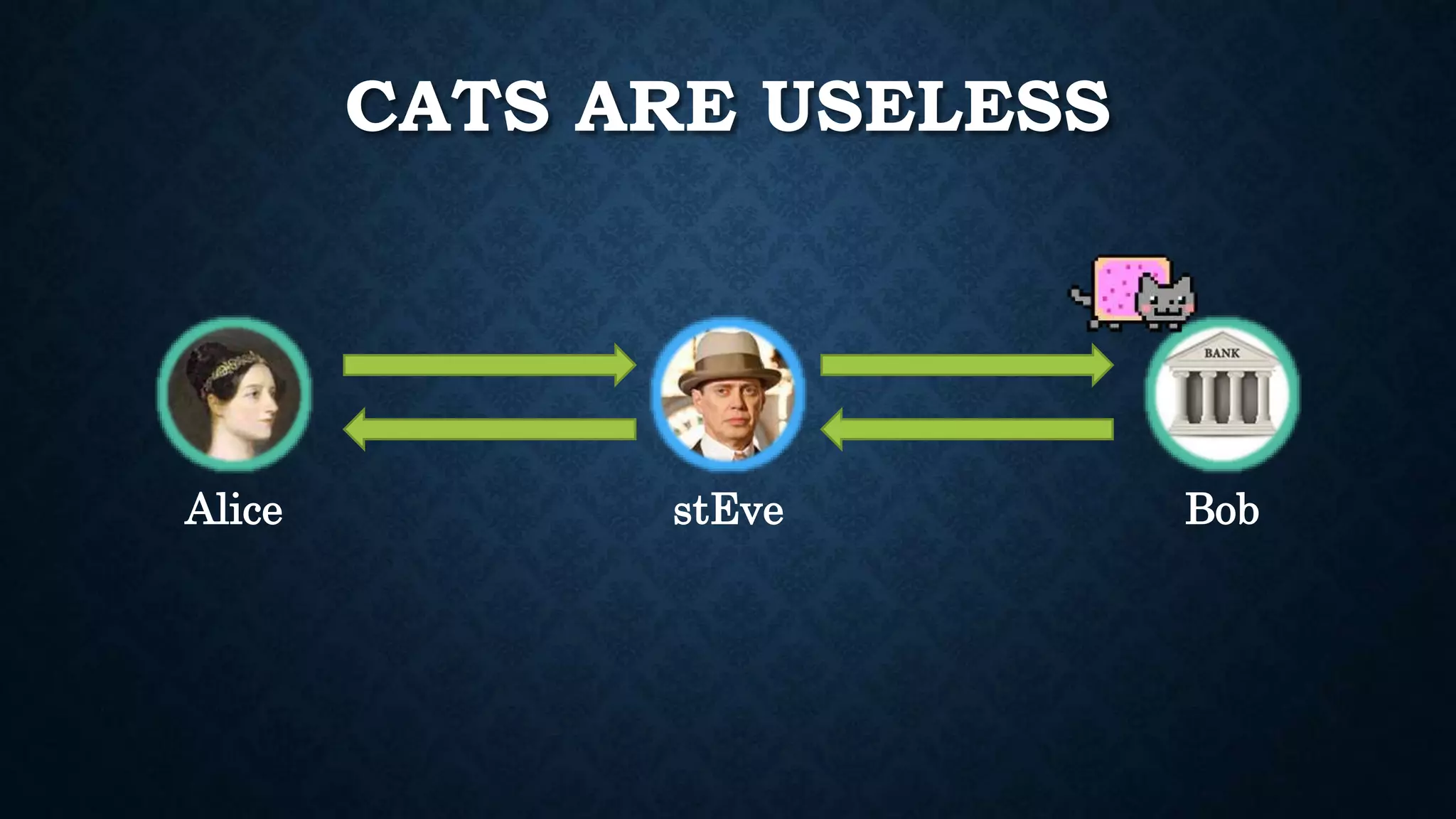 CATS ARE USELESS 
Alice stEve Bob 
 