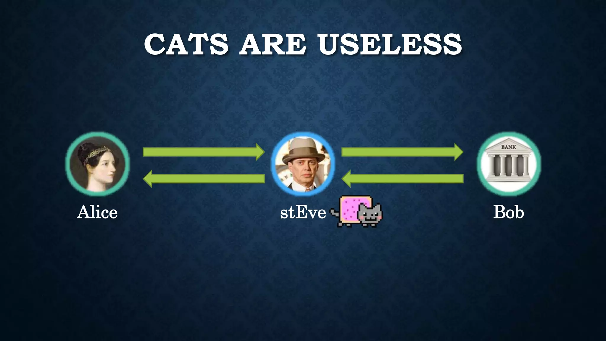 CATS ARE USELESS 
Alice stEve Bob 
 