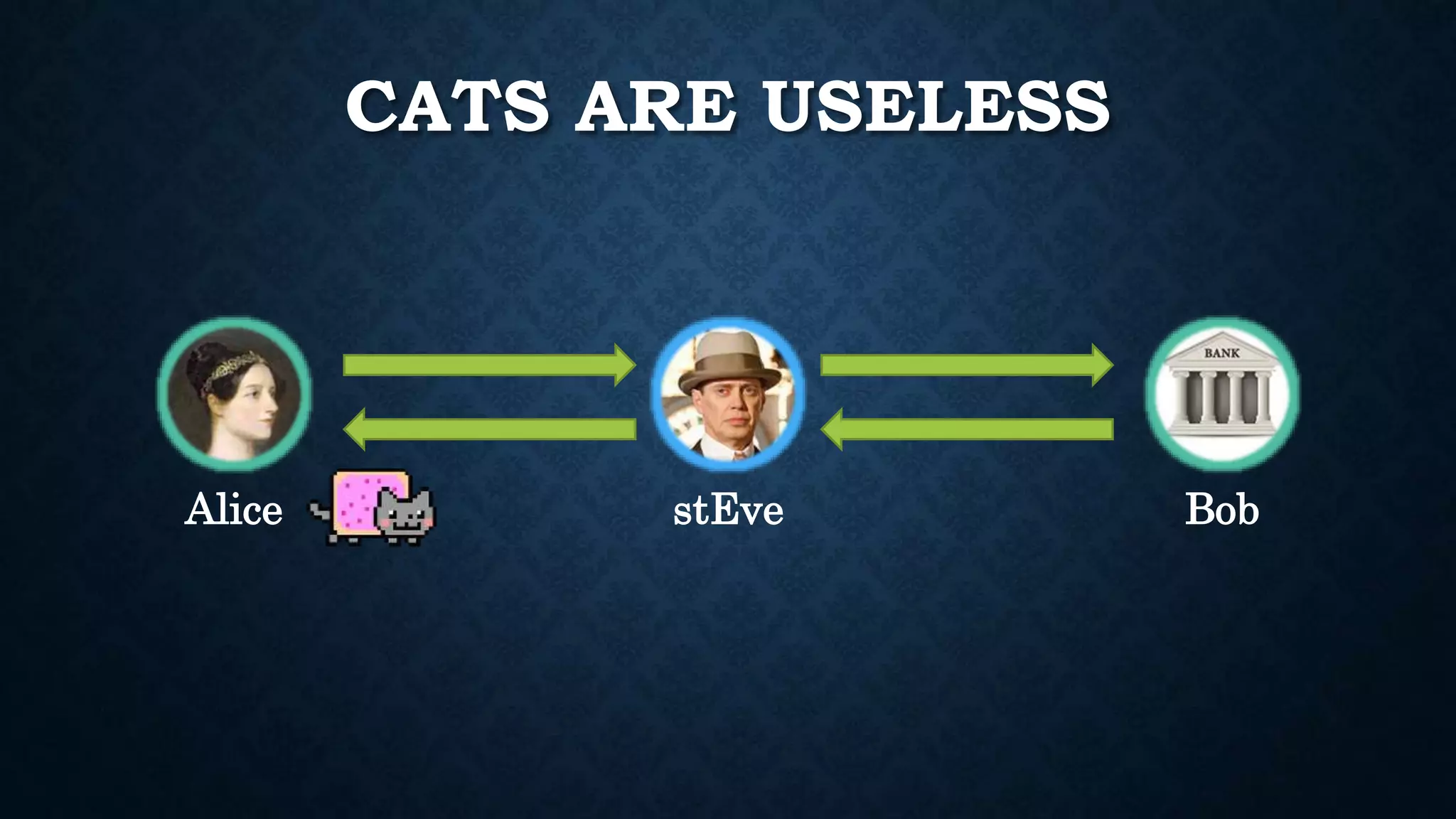 CATS ARE USELESS 
Alice stEve Bob 
 
