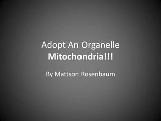 Adopt An Organelle
 Mitochondria!!!
 By Mattson Rosenbaum
 