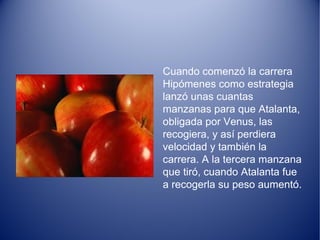 Cuando comenzó la carrera
Hipómenes como estrategia
lanzó unas cuantas
manzanas para que Atalanta,
obligada por Venus, las
recogiera, y así perdiera
velocidad y también la
carrera. A la tercera manzana
que tiró, cuando Atalanta fue
a recogerla su peso aumentó.
 