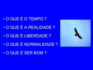 • O QUE É O TEMPO ? 
• O QUE É A REALIDADE ? 
• O QUE É LIBERDADE ? 
• O QUE É NORMALIDADE ? 
• O QUE É SER BOM ? 
 