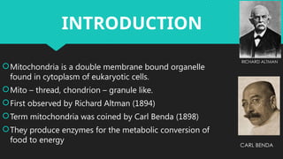 MITOCHONDRIA IS THE POWERHOUSE OF THE CELL | PPTX