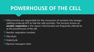 MITOCHONDRIA IS THE POWERHOUSE OF THE CELL | PPTX