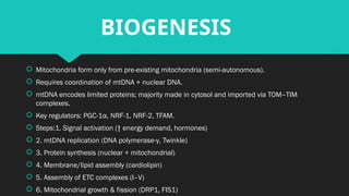 MITOCHONDRIA IS THE POWERHOUSE OF THE CELL | PPTX
