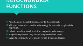 MITOCHONDRIA IS THE POWERHOUSE OF THE CELL | PPTX