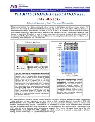 Product Specification Sheet
                                   Discovery Starts With Sample Preparation TM

      PBI MITOCHONDRIA ISOLATION KIT:
                RAT MUSCLE
                           A Kit for the Isolation of Intact/Functional Mitochondria
 Mitochondrial defects have been associated with a number of pathological conditions: muscle atrophy [1];
 Parkinson’s disease [2, 3]; atherosclerotic heart disease [4, 5]; cancer [6] and many others. Although it would be
 most relevant to assess mitochondrial functions in situ or in vivo, it is extremely difficult to separate primary
 mitochondrial effects from secondary effects because of the complexity of intact systems such as whole cells,
 tissues or organisms. Therefore, in order to better understand mitochondrial function and the interrelation of
 mitochondrial dysfunction with various diseases, it becomes necessary to extract mitochondria from tissue while
 maintaining them in an active and functional state.




       Yield and Respiration of Skeletal Muscle Mitochondria
       Mitochondria were extracted using a standard homogenizer
       method or The PCT Shredder with or without subsequent
       pressure cycling at 10,000, 20,000 or 30,000 psi. Upper
       Panel: More mitochondria are released by PCT after              Mitochondrial Preparations are Enriched
       disruption with The PCT Shredder than by The PCT                in Markers for All Three Mitochondrial
       Shredder alone, with yields that approach the control           Compartments Coomassie blue-stained
       method (Control, n=15; Shredder alone, n=19; 10,000psi,         SDS-PAGE gels and Western blots of
       n=18; 20,000psi, n=3; 30,000psi, n=2). Final protein yield of   mitochondrial    samples      isolated by
       the mitochondria-enriched preparations was measured by          homogenizer are essentially equivalent to
       BCA assay. Lower panel: RCRs of mitochondria prepared           the samples prepared using The PCT
       using The PCT Shredder are comparable to homogenizer            Shredder with pressure cycling at 10,000
       control. Mitochondria exposed to 30,000psi (n=2) are            psi. (VDAC, outer mitochondria membrane;
       abnormal, while those treated at 10,000 psi (n=7) and           Prohibitin, inner mitochondria membrane;
       20,000 psi (n=3) are comparable to controls (homogenizer;       HSP60, mitochondrial matrix).
       n=5, Shredder alone; n=5).


Mitochondria isolation from solid tissue is usually carried out using labor-intensive homogenizer-based methods that
require extensive operator experience and are prone to high variability between researchers. THE PBI
MITOCHONDRIA ISOLATION KIT: RAT MUSCLE uses a semi-automated method to generate a mitochondria
enriched preparation using The PCT Shredder or The SHREDDER SG3 for tissue homogenization. The rapid
mechanical homogenization with either PBI shredder can be paired with an optional pressure cycling technology
(PCT) step to further increase yield. Mitochondria prepared from freshly harvested tissue using the PBI
MITOCHONDRIA ISOLATION KIT: RAT MUSCLE are intact, normal and functional, as assessed by Western
                                  2+
blotting, electron microscopy, Ca uptake and respiration assays.
 