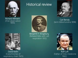 Mitochondrial Medicine - Mosul project | PPTX