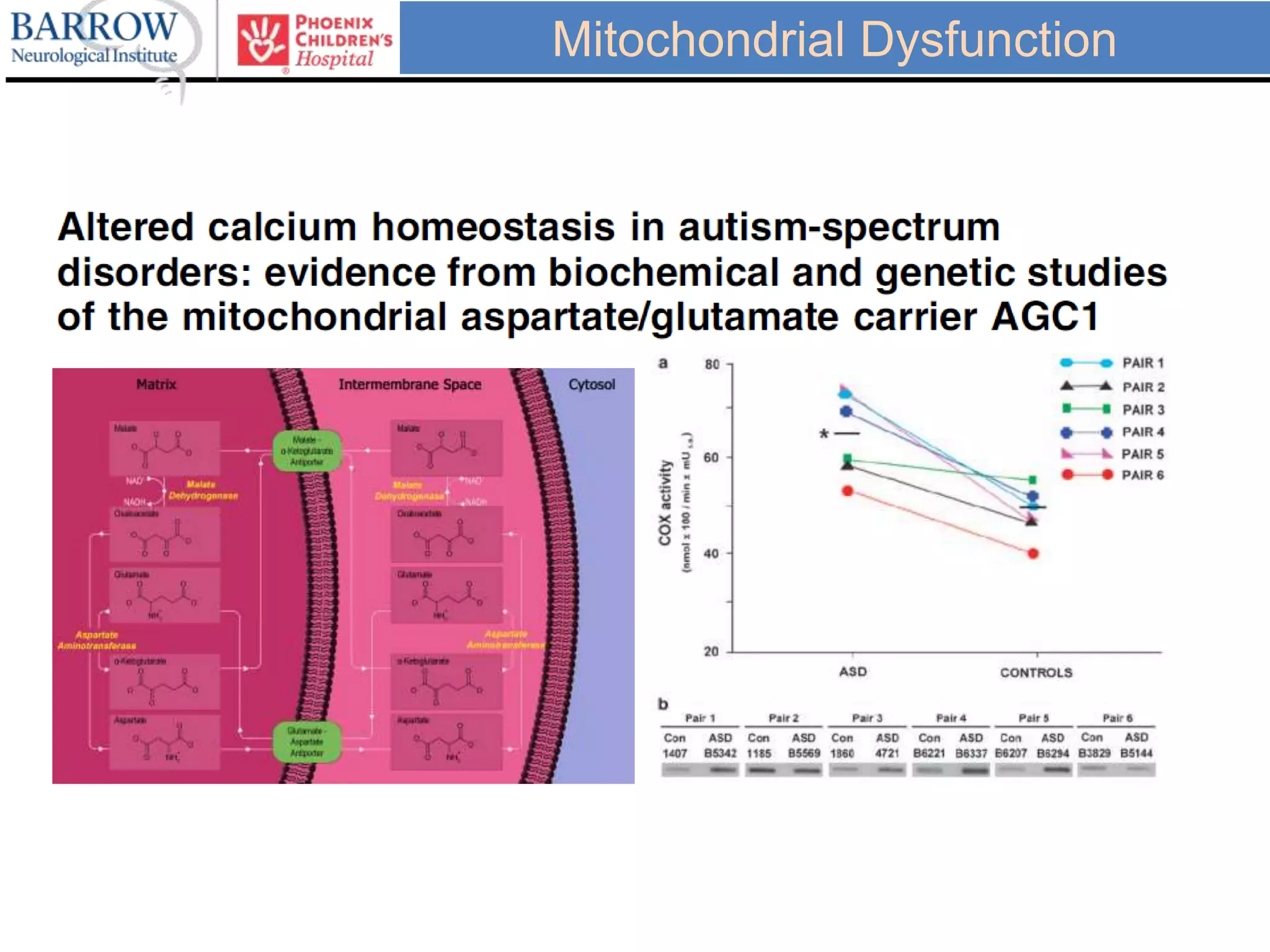 Mitochondrial Dysfunction
 