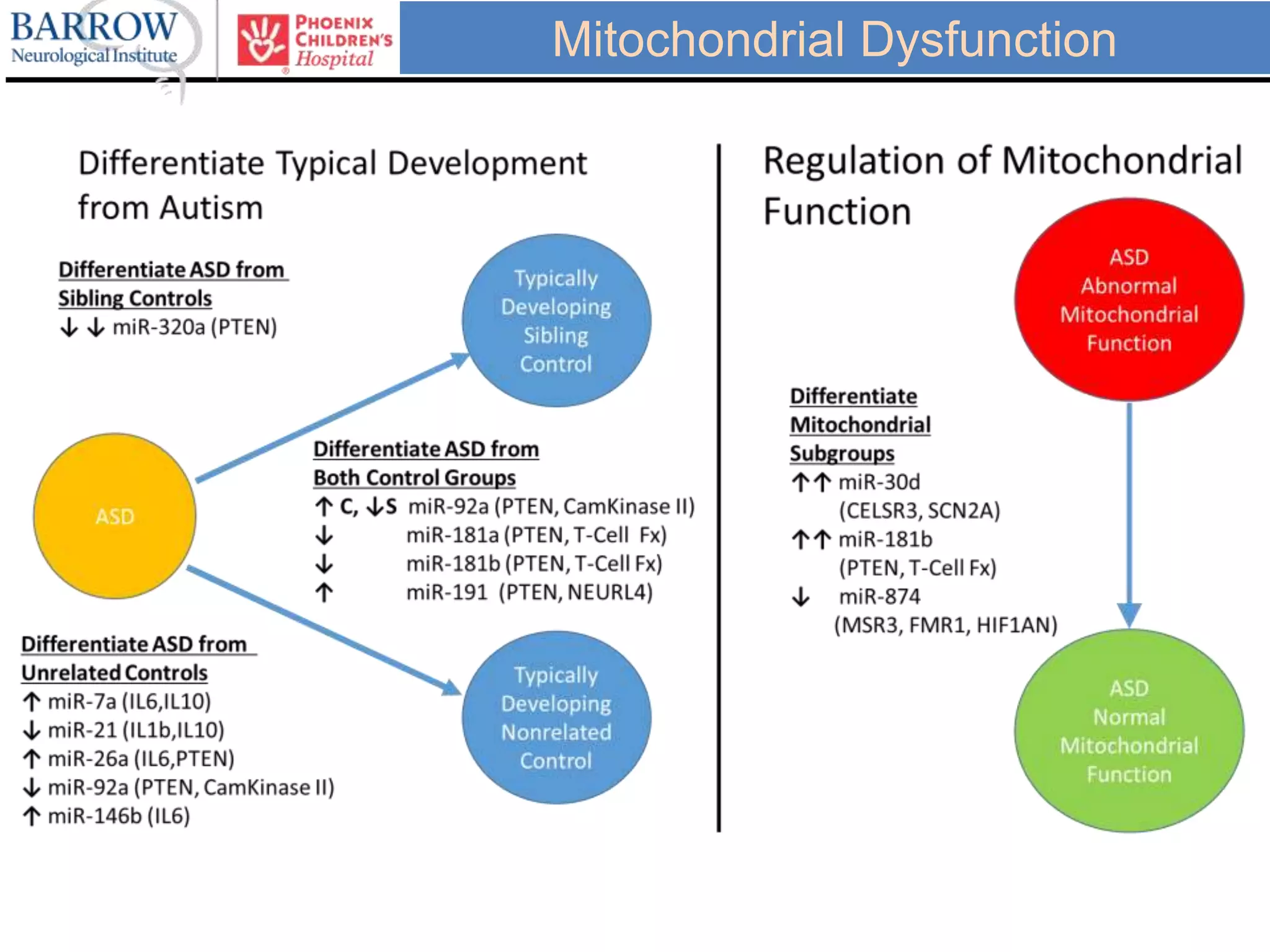 Mitochondrial Dysfunction
 