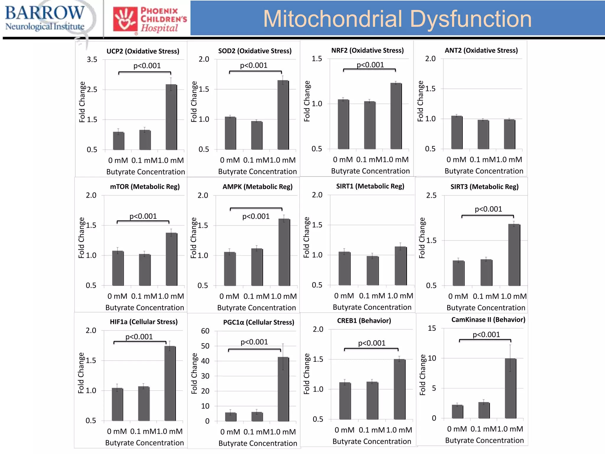 0.5
1.5
2.5
3.5
0 mM 0.1 mM1.0 mM
FoldChange
Butyrate Concentration
UCP2 (Oxidative Stress)
p<0.001
0.5
1.0
1.5
2.0
0 mM 0.1 mM1.0 mM
FoldChange
Butyrate Concentration
mTOR (Metabolic Reg)
p<0.001
0.5
1.0
1.5
2.0
0 mM 0.1 mM1.0 mM
FoldChange
Butyrate Concentration
HIF1a (Cellular Stress)
p<0.001
0
10
20
30
40
50
60
0 mM 0.1 mM1.0 mM
FoldChange
Butyrate Concentration
PGC1α (Cellular Stress)
p<0.001
0.5
1.0
1.5
2.0
0 mM 0.1 mM1.0 mM
FoldChange
Butyrate Concentration
CREB1 (Behavior)
p<0.001
0
5
10
15
0 mM 0.1 mM1.0 mM
FoldChange
Butyrate Concentration
CamKinase II (Behavior)
p<0.001
0.5
1.0
1.5
2.0
0 mM 0.1 mM1.0 mM
FoldChange
Butyrate Concentration
SOD2 (Oxidative Stress)
p<0.001
0.5
1.0
1.5
0 mM 0.1 mM1.0 mM
FoldChange
Butyrate Concentration
NRF2 (Oxidative Stress)
p<0.001
0.5
1.0
1.5
2.0
0 mM 0.1 mM1.0 mM
FoldChange
Butyrate Concentration
ANT2 (Oxidative Stress)
0.5
1.0
1.5
2.0
0 mM 0.1 mM1.0 mM
FoldChange
Butyrate Concentration
AMPK (Metabolic Reg)
p<0.001
0.5
1.0
1.5
2.0
0 mM 0.1 mM 1.0 mM
FoldChange Butyrate Concentration
SIRT1 (Metabolic Reg)
0.5
1.5
2.5
0 mM 0.1 mM 1.0 mM
FoldChange
Butyrate Concentration
SIRT3 (Metabolic Reg)
p<0.001
Mitochondrial Dysfunction
 