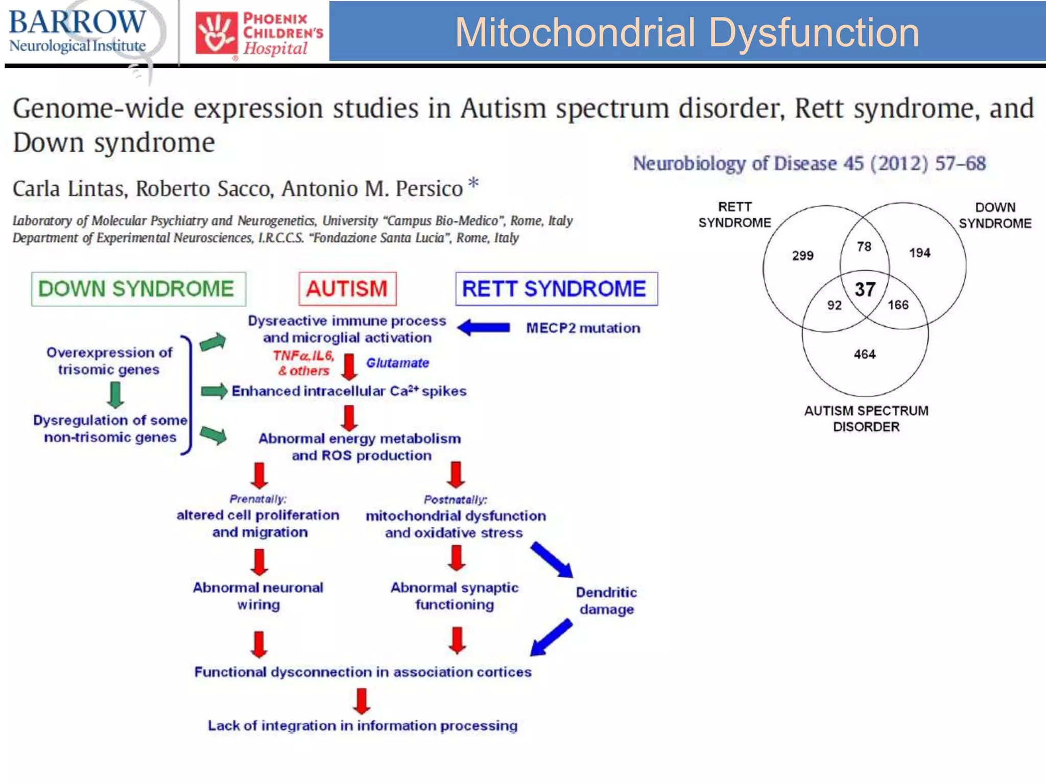 Mitochondrial Dysfunction
 