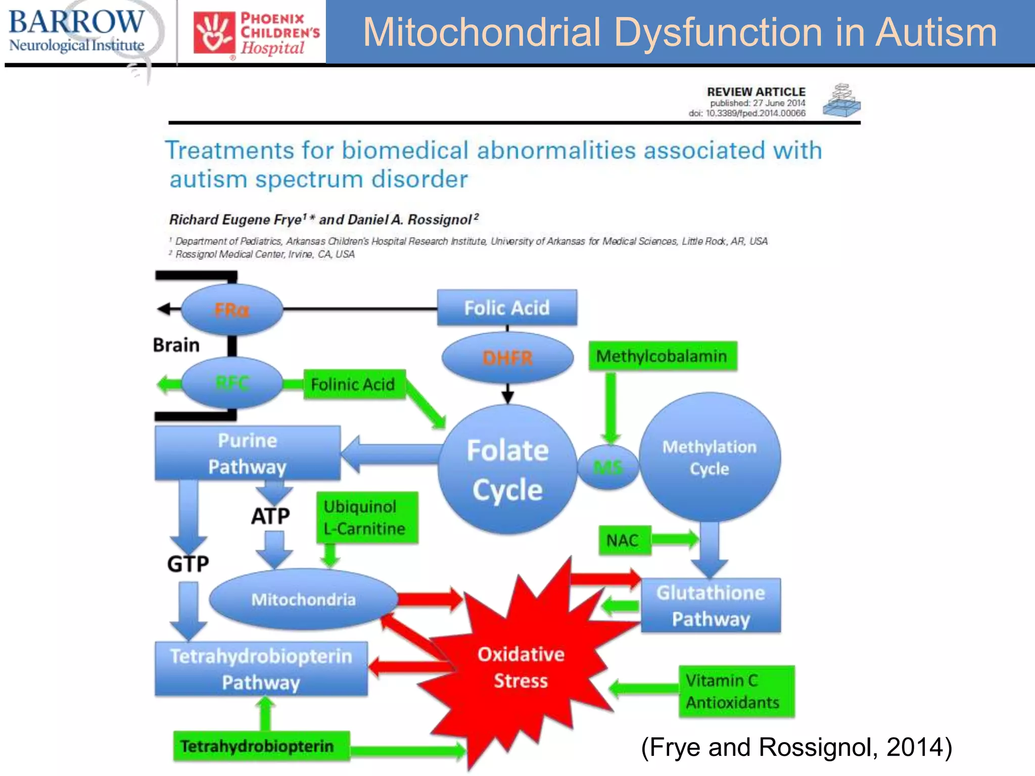 (Frye and Rossignol, 2014)
Mitochondrial Dysfunction in Autism
 