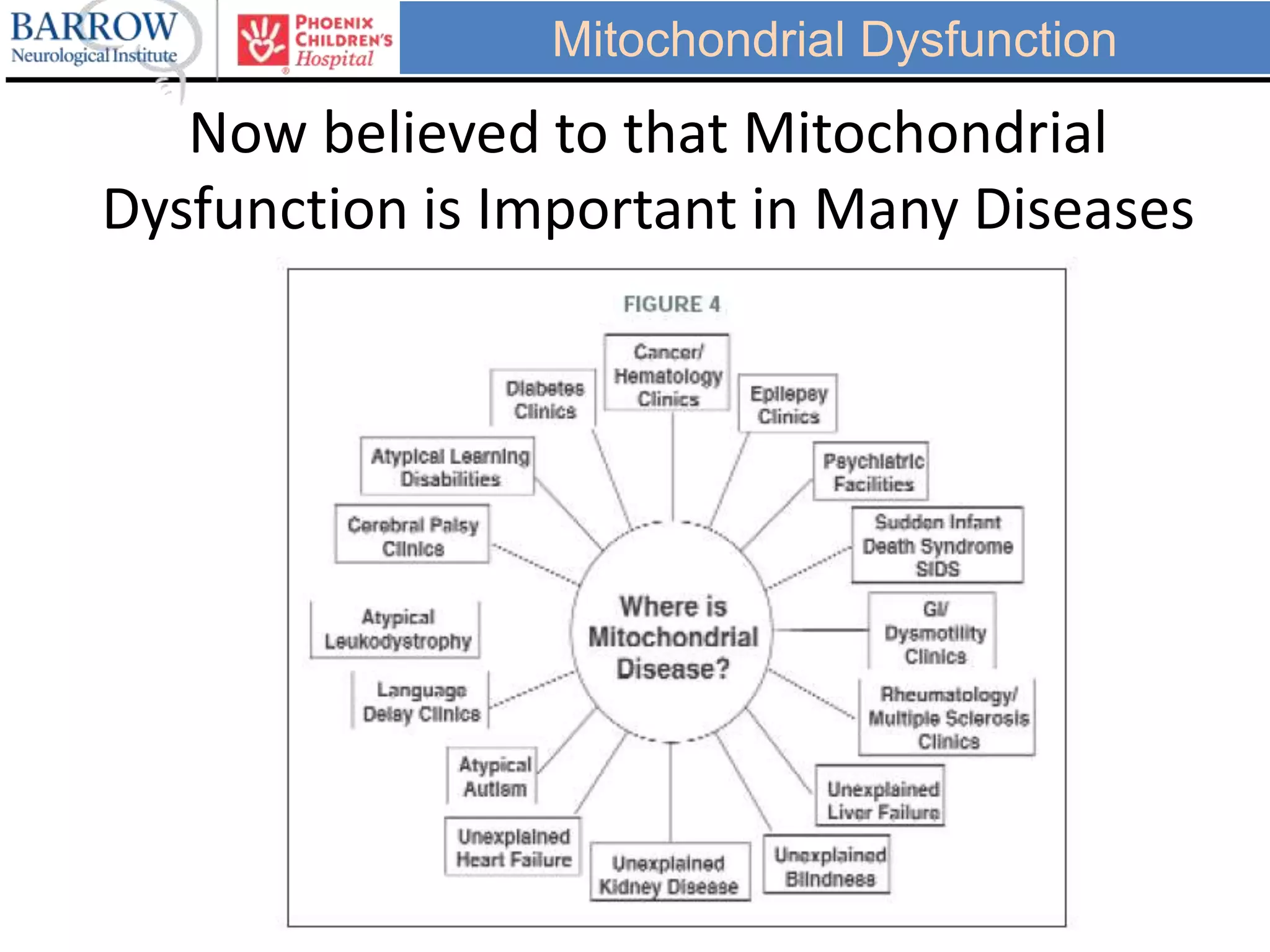Mitochondrial Dysfunction
Now believed to that Mitochondrial
Dysfunction is Important in Many Diseases
 