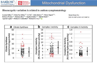 Mitochondrial Dysfunction
 