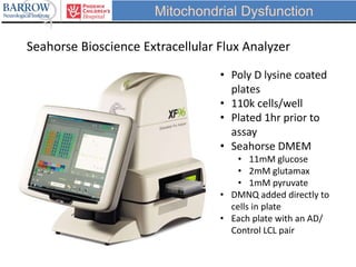 Seahorse Bioscience Extracellular Flux Analyzer
• Poly D lysine coated
plates
• 110k cells/well
• Plated 1hr prior to
assay
• Seahorse DMEM
• 11mM glucose
• 2mM glutamax
• 1mM pyruvate
• DMNQ added directly to
cells in plate
• Each plate with an AD/
Control LCL pair
Mitochondrial Dysfunction
 