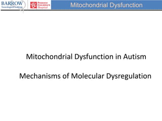 Mitochondrial Dysfunction
Mitochondrial Dysfunction in Autism
Mechanisms of Molecular Dysregulation
 