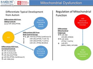 Mitochondrial Dysfunction
 