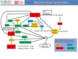 Mitochondrial Dysfunction
 