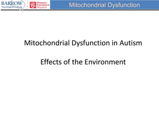 Mitochondrial Dysfunction
Mitochondrial Dysfunction in Autism
Effects of the Environment
 